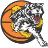 Willetton Tigers (W)